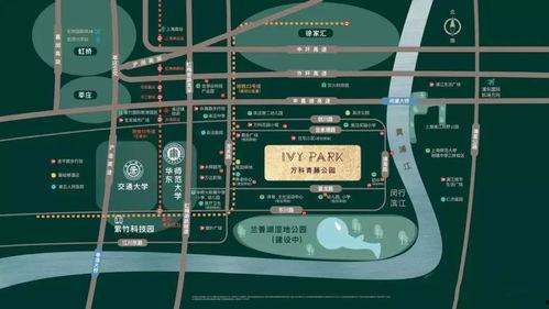 爆料青藤公园事件视频,真相与争议交织 第1张 爆料青藤公园事件视频,真相与争议交织 第1张