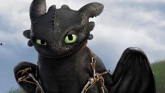 小来哥爆料迅猛龙视频,迅猛龙惊现神秘视频,揭秘恐龙世界新篇章 第1张 小来哥爆料迅猛龙视频,迅猛龙惊现神秘视频,揭秘恐龙世界新篇章 第1张