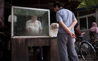 小片在线观看,揭秘网络短视频的魅力与影响 第3张 小片在线观看,揭秘网络短视频的魅力与影响 第3张