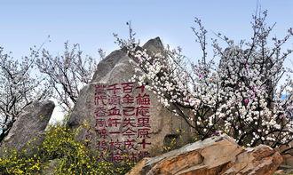 十梅庵今日爆料最新消息,今日最新爆料震撼来袭! 第2张 十梅庵今日爆料最新消息,今日最新爆料震撼来袭! 第2张