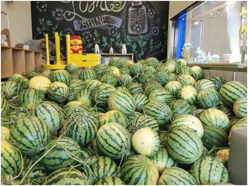 吃瓜最新免费,最新免费生成攻略大公开 第3张 吃瓜最新免费,最新免费生成攻略大公开 第3张